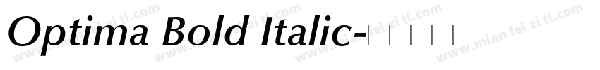 Optima Bold Italic字体转换